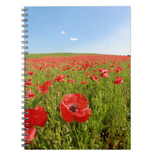 Poppy field - Stunning! Notebook