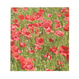 Poppy field - Stunning! Notepad
