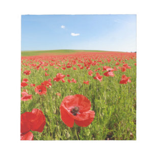 Poppy field - Stunning! Notepad