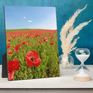 Poppy field - Stunning! Plaque