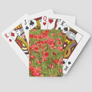 Poppy field - Stunning! Playing Cards