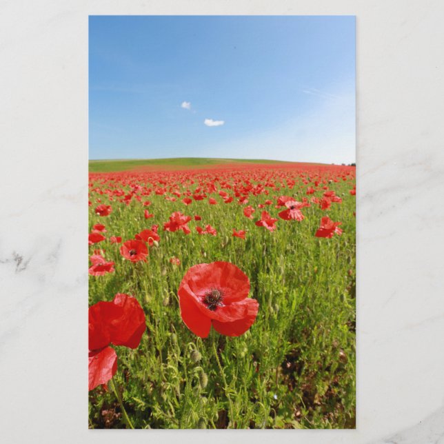 Poppy field - Stunning! Stationery (Front)