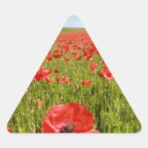 Poppy field - Stunning! Triangle Sticker