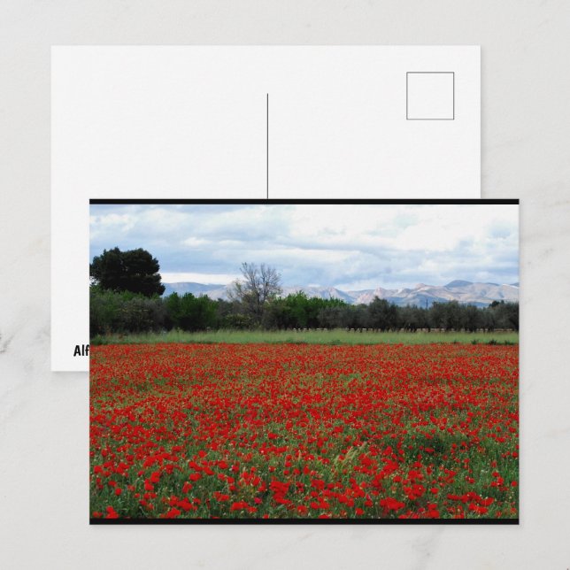 Poppy Field Tree Line Postcard (Front/Back)