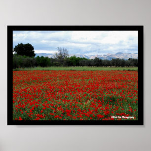 Poppy Field Tree Line Poster