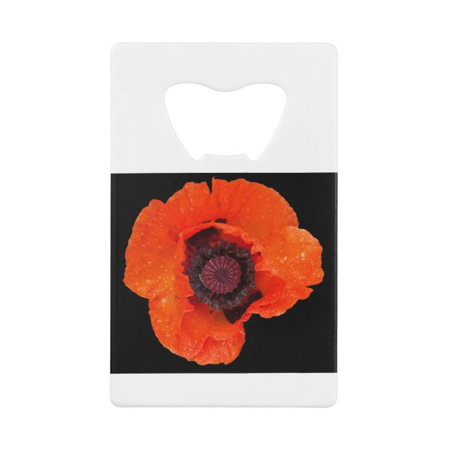 poppy flower after rain (Front)
