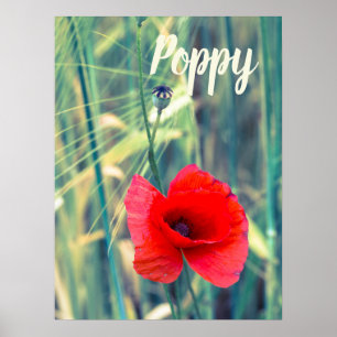 Poppy flower for gardeners and blossom lover gift poster