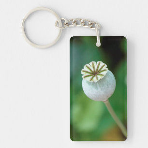 Poppy Flower Head Seed, Western Cape Key Ring
