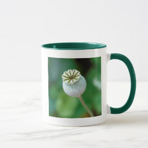 Poppy Flower Head Seed, Western Cape Mug