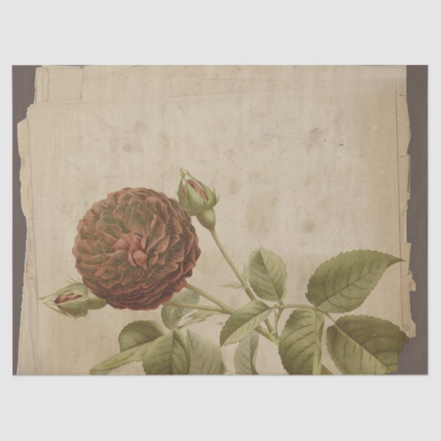 Poppy Flower on Distressed Decoupage Tissue Paper (Front)