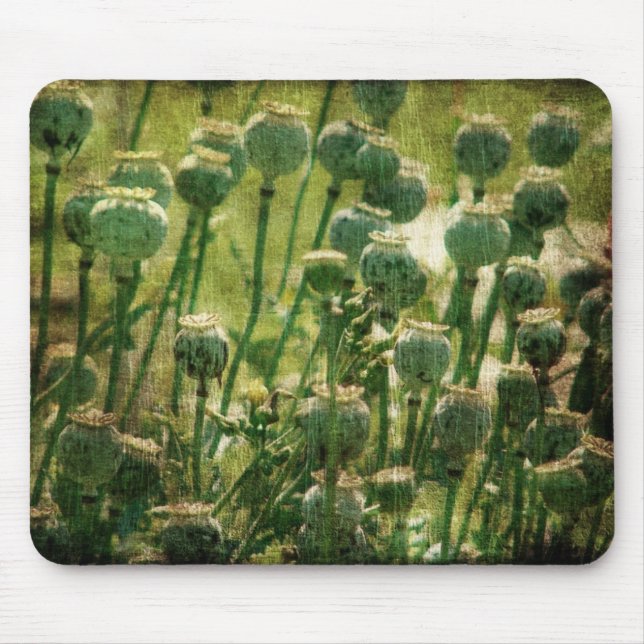 Poppy Flower Seed Pods Mouse Pad (Front)