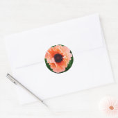 Poppy Flower Sticker (Envelope)