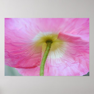 Poppy Flower Under Petals Photographic Art Print