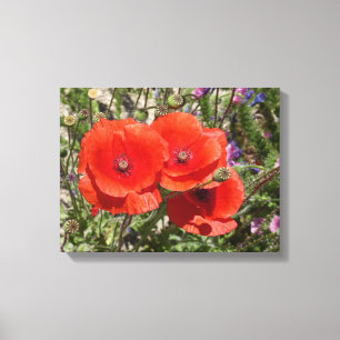 POPPY FLOWERS CANVAS PRINT
