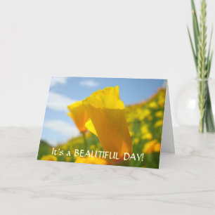 POPPY FLOWERS Greeting Cards Beautiful Day POPPIES