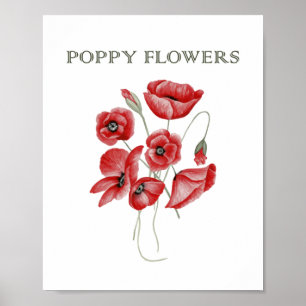 Poppy Flowers Poster