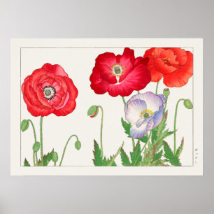 Poppy Flowers, Red and Purple, by Tanigami Konan, Poster