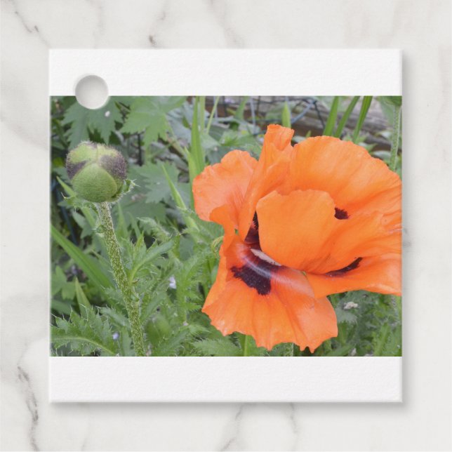 Poppy Gift Tag (Front)