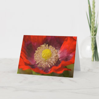 Poppy Greeting Card