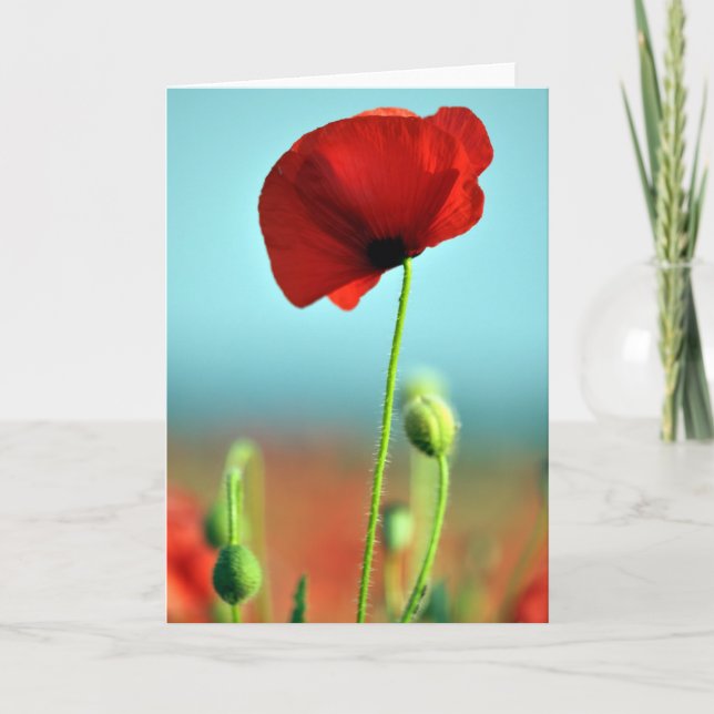 Poppy Greetings Card (Front)