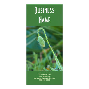 Poppy In Progress Rack Card