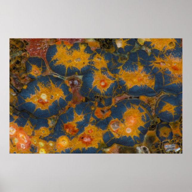 Poppy Jasper Poster (Front)