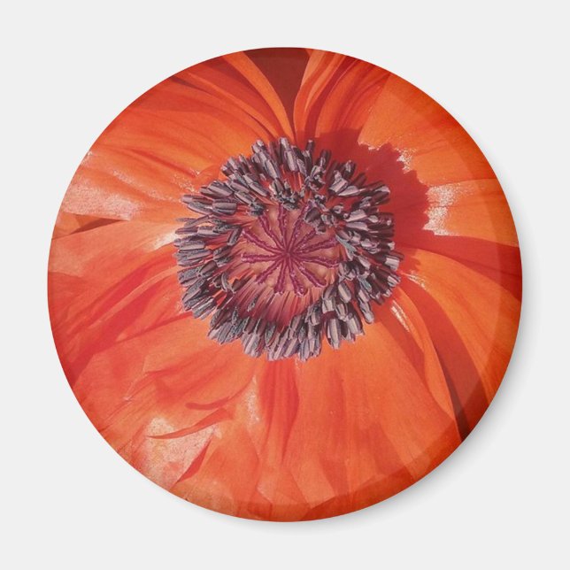 Poppy Magnet (Front)