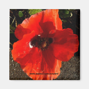 Poppy Magnet