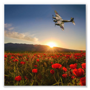 Poppy Mossie Photo Print