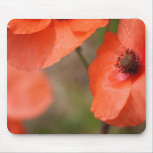 Poppy Mouse mat