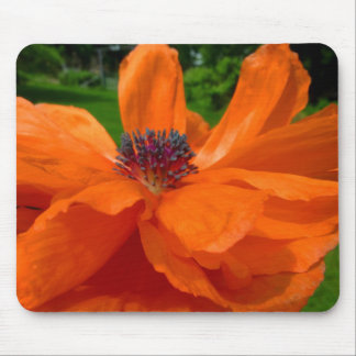Poppy Mouse Pad