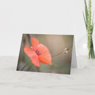 Poppy Nature Photo Card