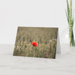 Poppy Nature Photo Card