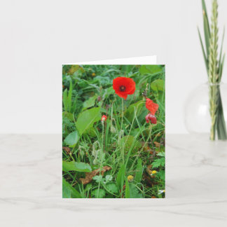 'Poppy' Notecard