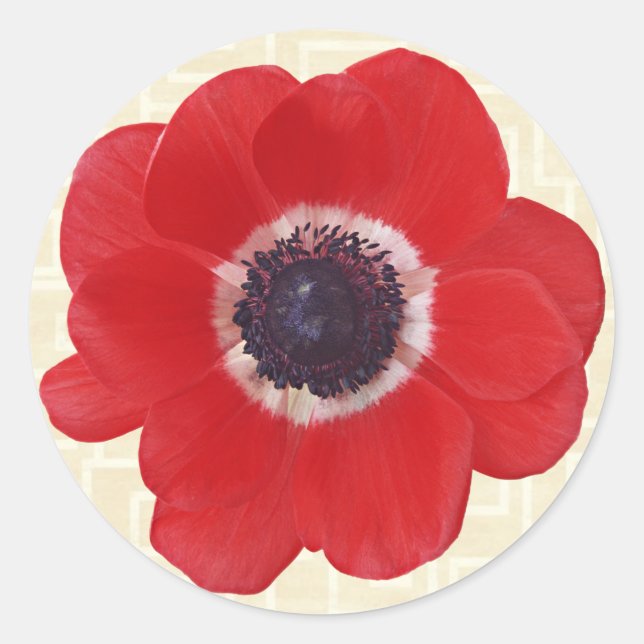 Poppy on Beige Classic Round Sticker (Front)