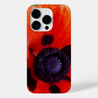 Poppy Orange Flower Photo