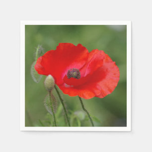 Poppy Paper Napkins