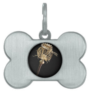 Poppy Pet Tag