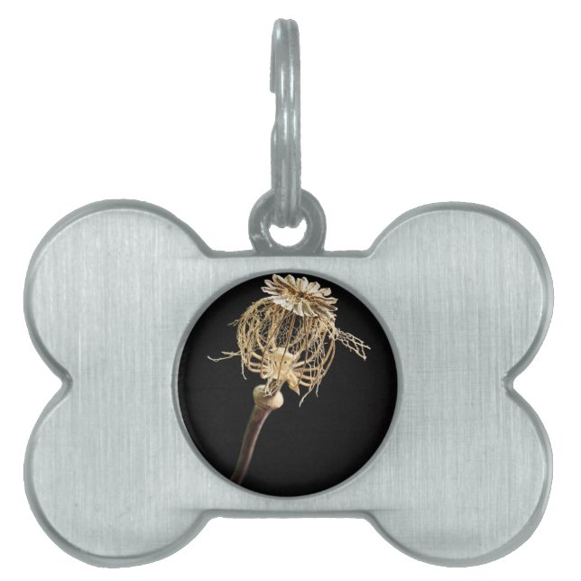 Poppy Pet Tag (Front)