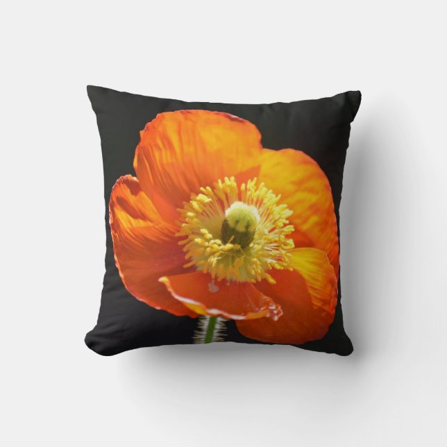 Poppy Pillow (Front)