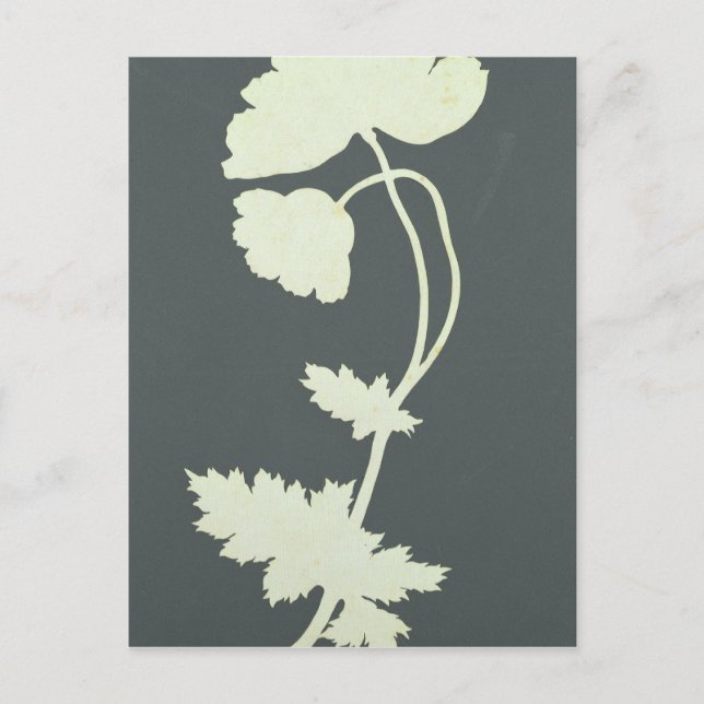 Poppy Postcard (Front)