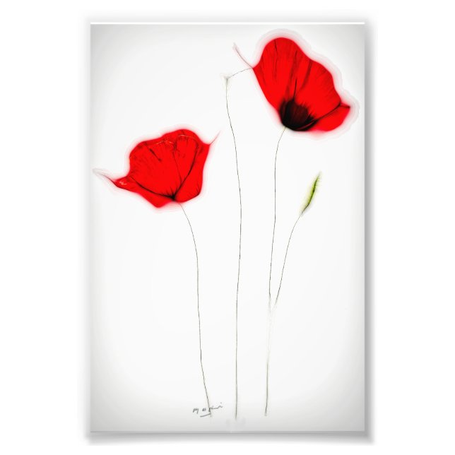 POPPY POSTER (Front)