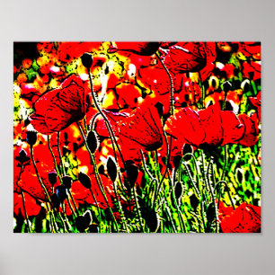 poppy poster