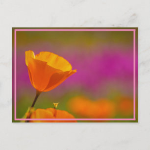 poppy power postcard