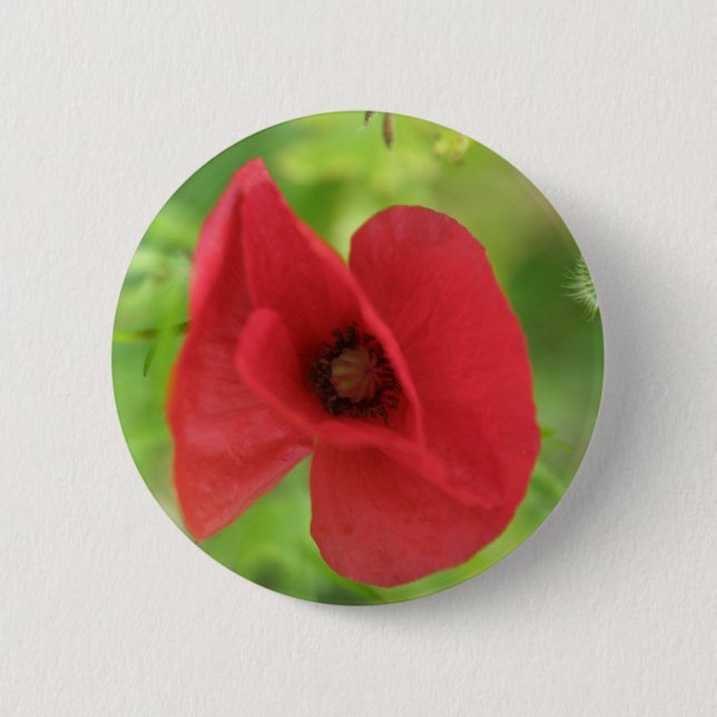 Poppy Red 6 Cm Round Badge (Front)