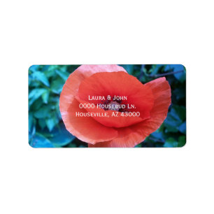 Poppy. Red flower. Label