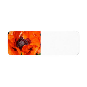 Poppy Return Address Label