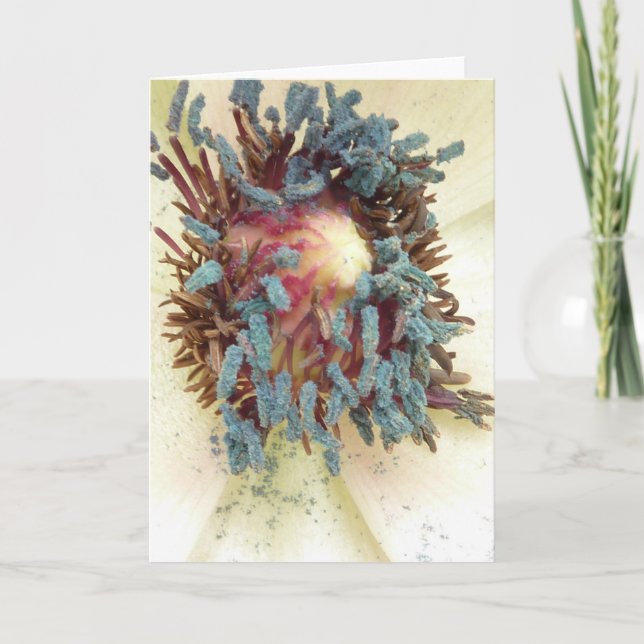 Poppy Stamens Card (Front)