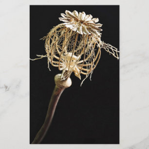 Poppy Stationery