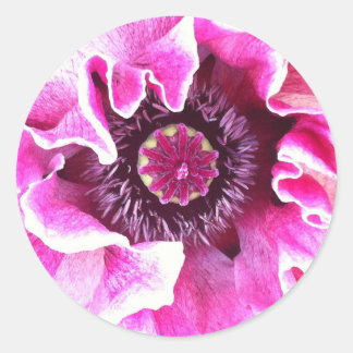 Poppy Sticker